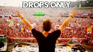 Hardwell Tomorrowland 2013 Drops Only [upl. by Merci]