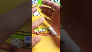 Unbelievable Dice Tricks to WIN BIG 😳 [upl. by Ocirnor]