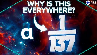 Why Is 1137 One of the Greatest Unsolved Problems In Physics [upl. by Fawne]