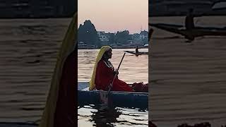 Kashmir Shikara  Dal Lake  Kashmir ki kali [upl. by Kylynn]