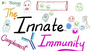 The Innate Immunity and the Complement System  Immunology [upl. by Enaamuj]