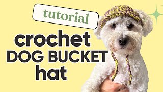 EASY CROCHET  Dog Bucket Hat Tutorial [upl. by Durgy]