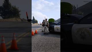 SCRP CHP Vehicle Collision [upl. by Nomelc]