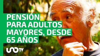 Diputados aprueban que pensión de adultos mayores sea obligatoria desde los 65 y no 68 años [upl. by Haymo]