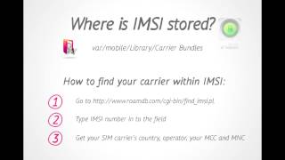 How To Find IMSI Number On iPhone [upl. by Anaidni55]