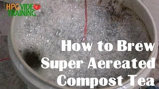 How to Brew Super Aerated Compost tea [upl. by Rehpretsirhc]