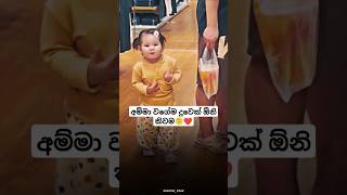 බලන්නකෝ චූටි හොරෙක්🤭❤️trendingshortssrilanka [upl. by Enailil]