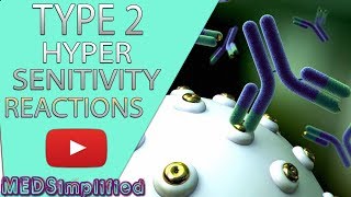 Type 2 Hypersensitivity Reaction Made Easy Immunolgy [upl. by Llerrem]