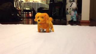 Electronic Walking Dog  Plush Dog Toy dog [upl. by Cash]