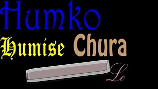 Humko Humise Chura Lo HarmonicaMouth Organ with notes [upl. by Llekim952]