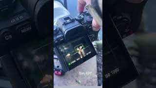 Wildlife Photography 😱 On Sony A9iii With 400mm Lens shorts HunterPhotography [upl. by Ellenad]