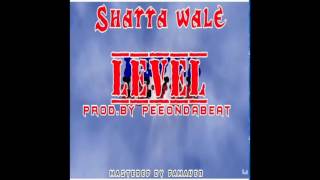 Shatta Wale  Level Audio Slide [upl. by Martell]