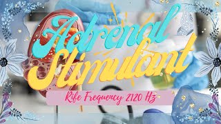 ❉ Adrenal Stimulant  2120 HZ  Rifes General C  Program 1  Relaxing Nature Sounds [upl. by Nnaeinahpets]