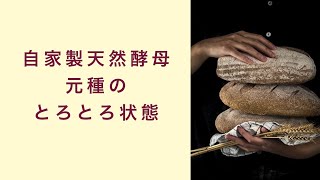 【自家製天然酵母】元種がとろとろになっているのはどういうことか フルーツ酵母 自家製天然酵母 パン教室 教室開業 大阪 奈良 東京 名古屋 オンライン講座 [upl. by Ahsiakal]