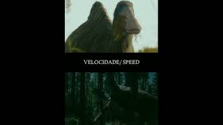 Deinocheirus vs Therizinosaurus SHORT EDIT Siamés  The Wolf [upl. by Namie]