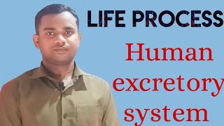 Human excretory system kidney class 10 th CBSE [upl. by Lomax]