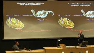 Isotopic aspects of dinosaur reproduction [upl. by Aurelio494]