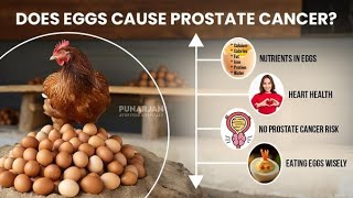 Do Eggs Cause Prostate Cancer [upl. by Harness34]