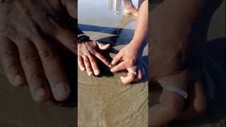 Unbelievable Catching with Empty Hand fishing fishingvideos seafishing thoondilulagam [upl. by Anirda525]