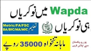 WAPDA Jobs 2024 – Download PTS Application Form [upl. by Kennedy]