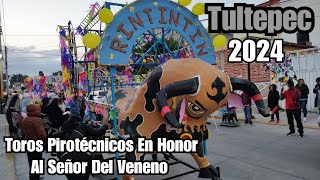 Recorrido De Toros Pirotécnicos En Honor Al Señor Del Veneno Tultepec 2024 [upl. by Norris]