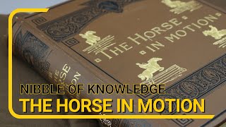 Nibble of Knowledge The Horse in Motion [upl. by Nyrual]