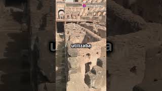 El Coliseo Romano Historia y Construcción [upl. by Helyn]