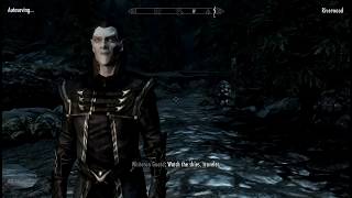 Thalmor Playthrough  Chapter 19 Recruiting Other Thalmor Agents [upl. by Aihsemot]