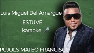 Luis Miguel Del Amargue ESTUVE karaoke [upl. by Bealle]