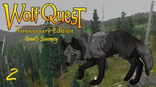 Gnat Makes Her Mark  WolfQuest Ultra Ironwolf Gnats Journey 2 [upl. by Garnett]