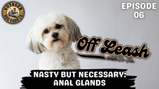 Nasty but Necessary Anal Glands [upl. by Dickens]