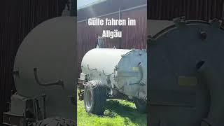 Gülli Grüße ausm Urlaub gülle allgäu traktor [upl. by Etep]