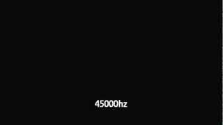 45000 Hz [upl. by Octavla]