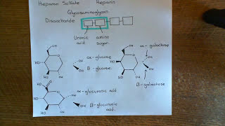 Antithrombin 3 and Heparin Part 6 [upl. by Rafaelia789]