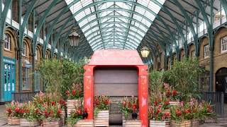 9 REASONS TO LOVE COVENT GARDEN LONDON  Piazza  Neals Yard  Streets  Shops  Street Performers [upl. by Rosa77]