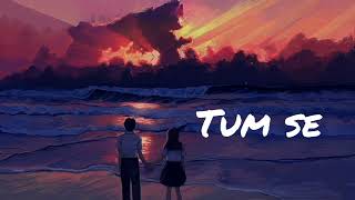 Tum Se  Lofi  slowed and reverb   Tumse kiran dhoop ki  Lofi Song [upl. by Grinnell]