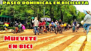 🔴Paseo dominical muévete en bici Cdmx 2021🔴 Todo lo que debes saber [upl. by Luella64]