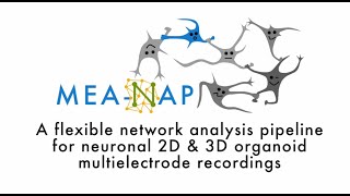 MEANAP A network analysis pipeline for neuronal 2D and 3D organoid multielectrode recordings [upl. by Pam]