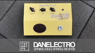 Danelectro Spring King Spring Reverb [upl. by Kcuhc]