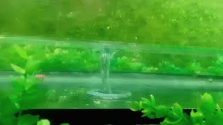 a Aquarium Whirlpool Vortex [upl. by Dnalra]