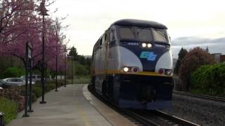 Spring in Fremont Union Pacific Amtrak ACE and CalTrain [upl. by Melisse757]