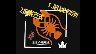 吾兄x樵哥 釣蝦五大技巧 訊號判別 拉蝦方式 上 [upl. by Tharp743]