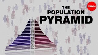 Population pyramids Powerful predictors of the future  Kim Preshoff [upl. by Ahsaetan]