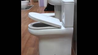 rak soft close toilet seat [upl. by Alram]