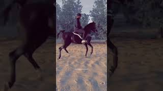 why people shave horse hair।। ytshorts shortsfeed new viralshort theundiscoverdfacts [upl. by Enidaj]