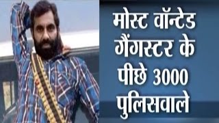 Most Wanted Gangster Anand Pal Singh and 3000 Policemen [upl. by Nomelc]