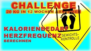 Berechnen des Kalorienbedarfs sinnvoll  VLog 44 Abnehm Challenge [upl. by Anivol]