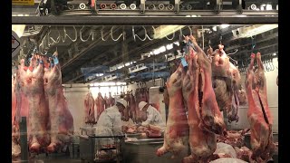 wholesale meat market in london [upl. by Josey]