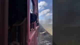 SteamRanger Heritage Railway Victor habour to goolwa south australia [upl. by Wilkie]