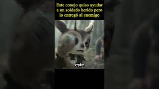 😱Este conejo quiso ayudar a un soldado herido pero moviemovie peliculas [upl. by Dercy]